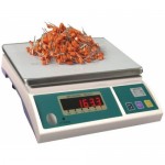 Cân Điện Tử JZC-TSE, Can  Dien Tu JZC-TSE - image2